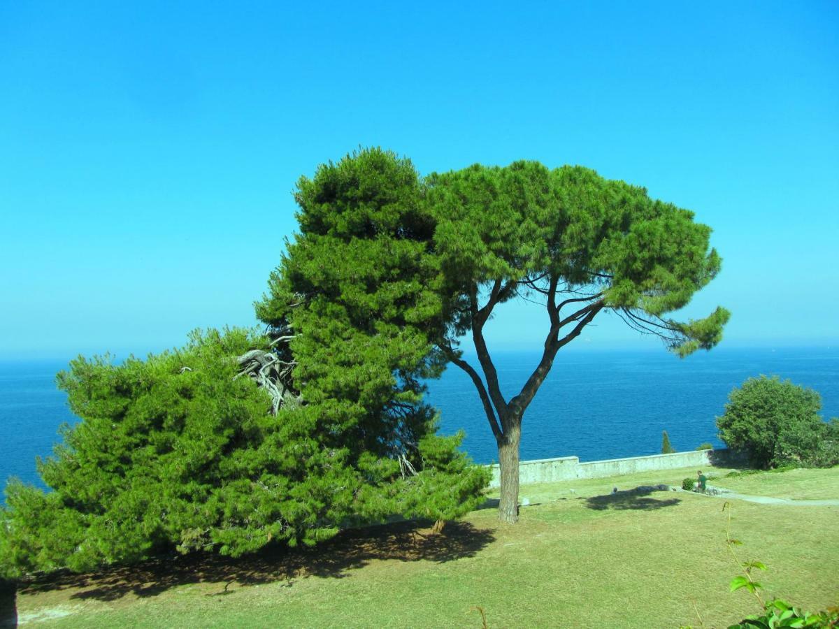 Apartment Beba Rovinj Bagian luar foto